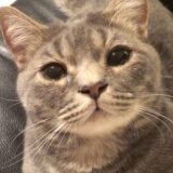 特定口座の損益通算の解釈を間違えて損失をだした間抜けな僕